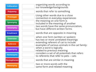 Semantic Relationships: Semantics Activity