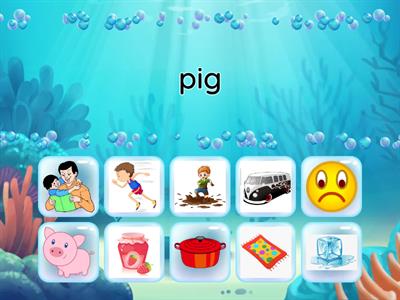 Ten vocabularies of Three letter phonic words: pig, jam, mat, van, pot, sad, dad, ice, run, mud 