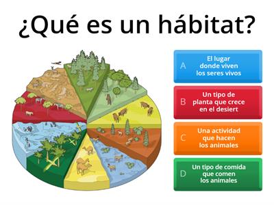  Cuestionario de ciencias naturales octavo de basica sobre los tipos de hábitats y su clasificación