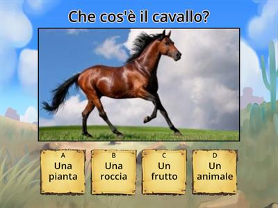 Un cavallo per amico