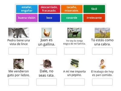 Expresiones comunes en español 