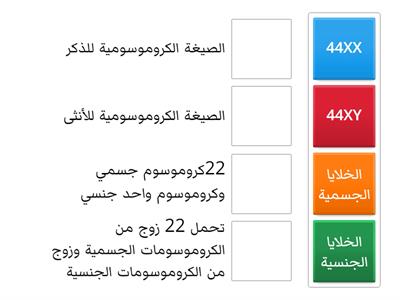 كروموسومات الإنسان 