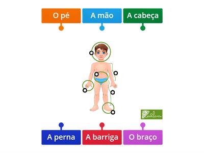Rio & Learn: Partes do Corpo I