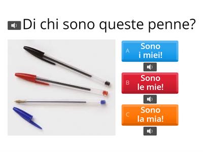 AGGETTIVI POSSESSIVI: Qual'è la risposta corretta?