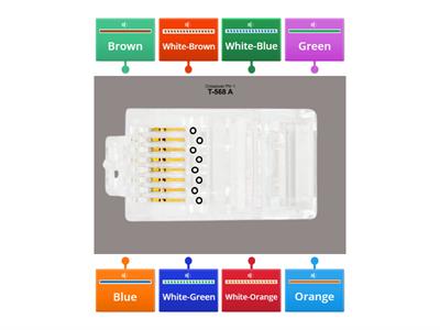 Q4 Activity 8-A: Crossover LAN Cabling (T-568A)