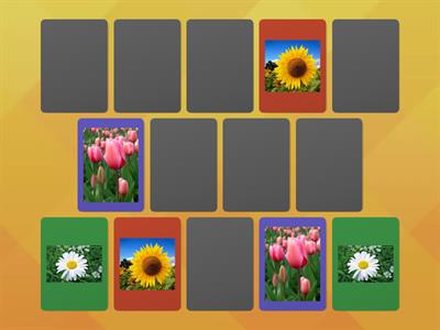 Παιχνίδι μνήμης-Τα λουλούδια