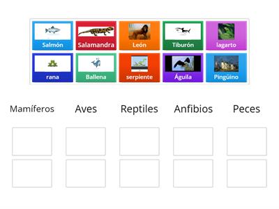 Clasificación de los seres vivos