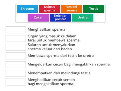 Fungsi Organ Pembiakan Lelaki