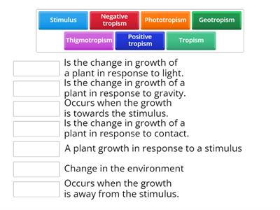 Plant Tropisms 