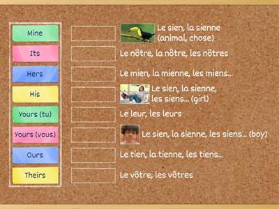 Possessive Pronouns 