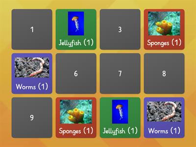 Invertebrates ( Jellyfish, worms and sponges)