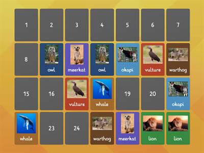 animal vocabulary set 1