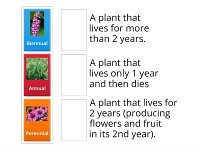 Gardening definitions - introduction