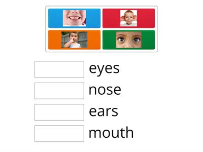 parts of face