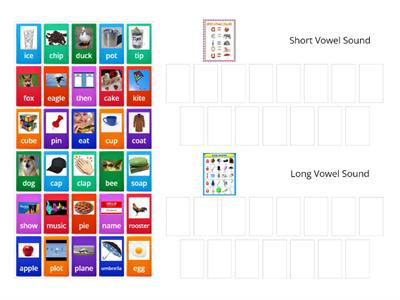 Long and Short Vowel Sounds