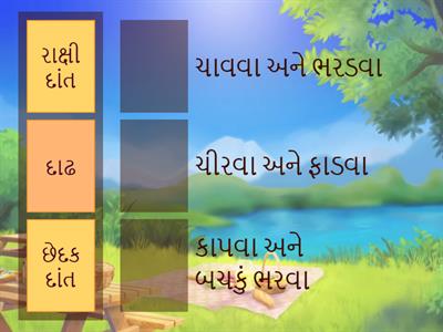 Std 7 sci. ch 2 પ્રાણીઓમાં પોષણ :- L. O. SC.7.02. સજીવોને તેમના ગુણધર્મો અને કાર્યને આધારે જુદા પાડે છે.