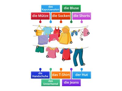 die Kleidung