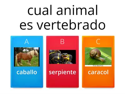 animales invertebrados y vertebrados