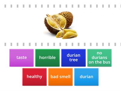 Academy Stars 1. Unit 10. Durian Fruit Vocabulary