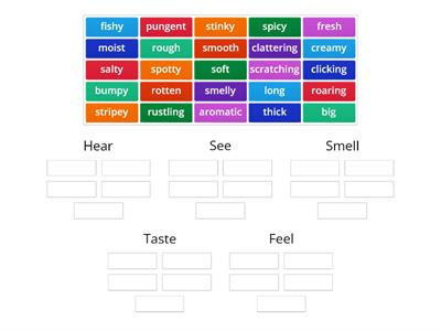 Adjectives for 5 Senses
