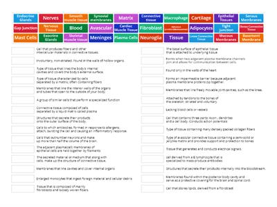 Tissue Vocabulary -- CCHS anatomy and physiology