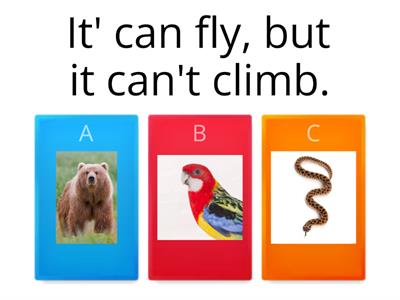 Animals quiz