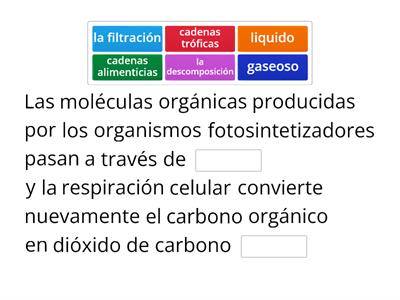 ciclo del carbono 