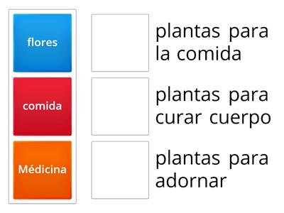 plantas