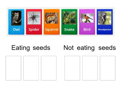 Who eats seeds