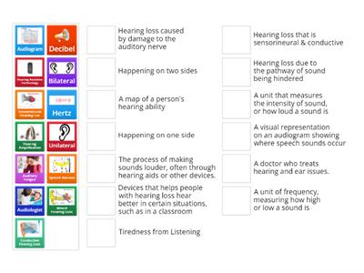 DHH Self Advocacy Audiology Terminology