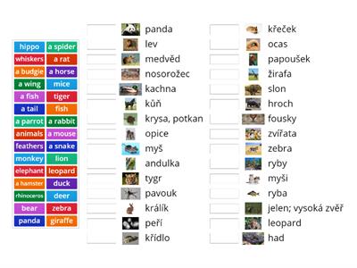 Project 1 - U3D-animals Wordsearch