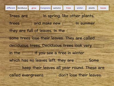Deciduous and evergreen trees. 