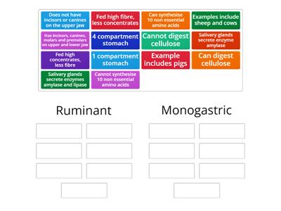Ruminant vs Monogastic 