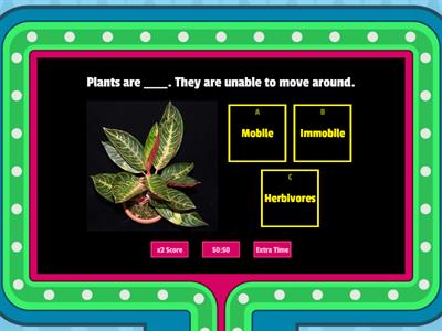 Classification of Living Things: P4 Science