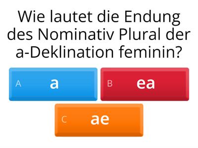 Viva 1_Substantive_Endungen_3. Person Singular und Plural