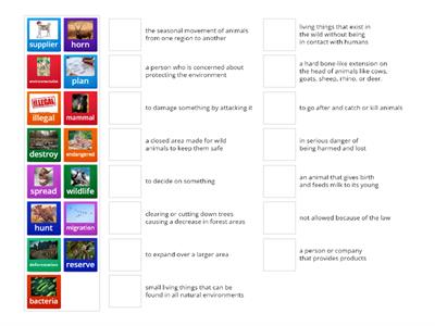 Level 7.1 Term 3 Vocabulary