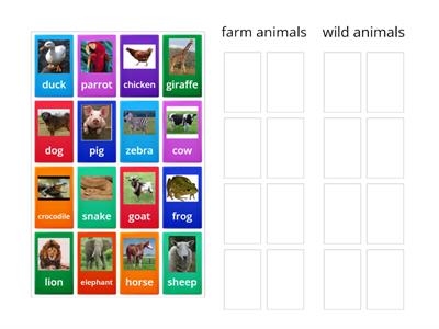 farm and wild animals