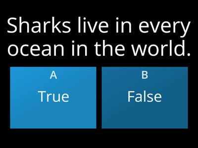Sharks: Fact or Fiction?