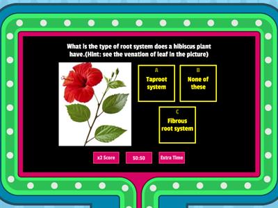 Getting to know plants