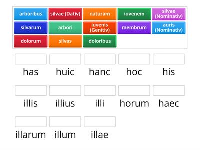 Latein 21 hic und ille in Kombination mit Substantiven