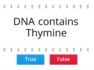 DNA & RNA "True or False"