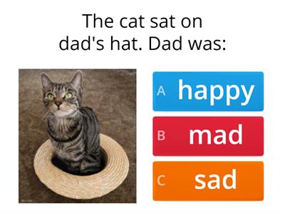 "Dad and the cat" Quiz
