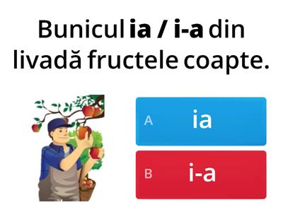 Cum e corect: ia / i-a; iau / i-au; săi / să-i; nu mai / numai?