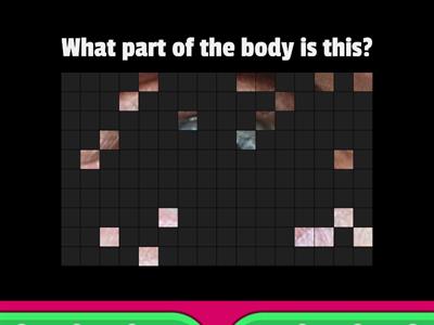 Guess the parts of the body