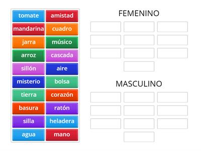 Uní cada sustantivo con su género (femenino o masculino)