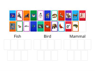 Three-category sort:  Animal Classification