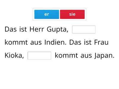 Ergänzen Sie die Pronomen