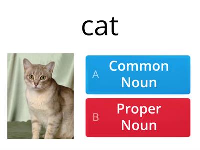 Common Noun and Proper Noun