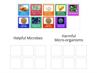 Role of microbes