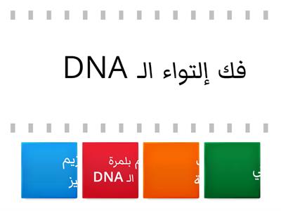 تضاعف DNA